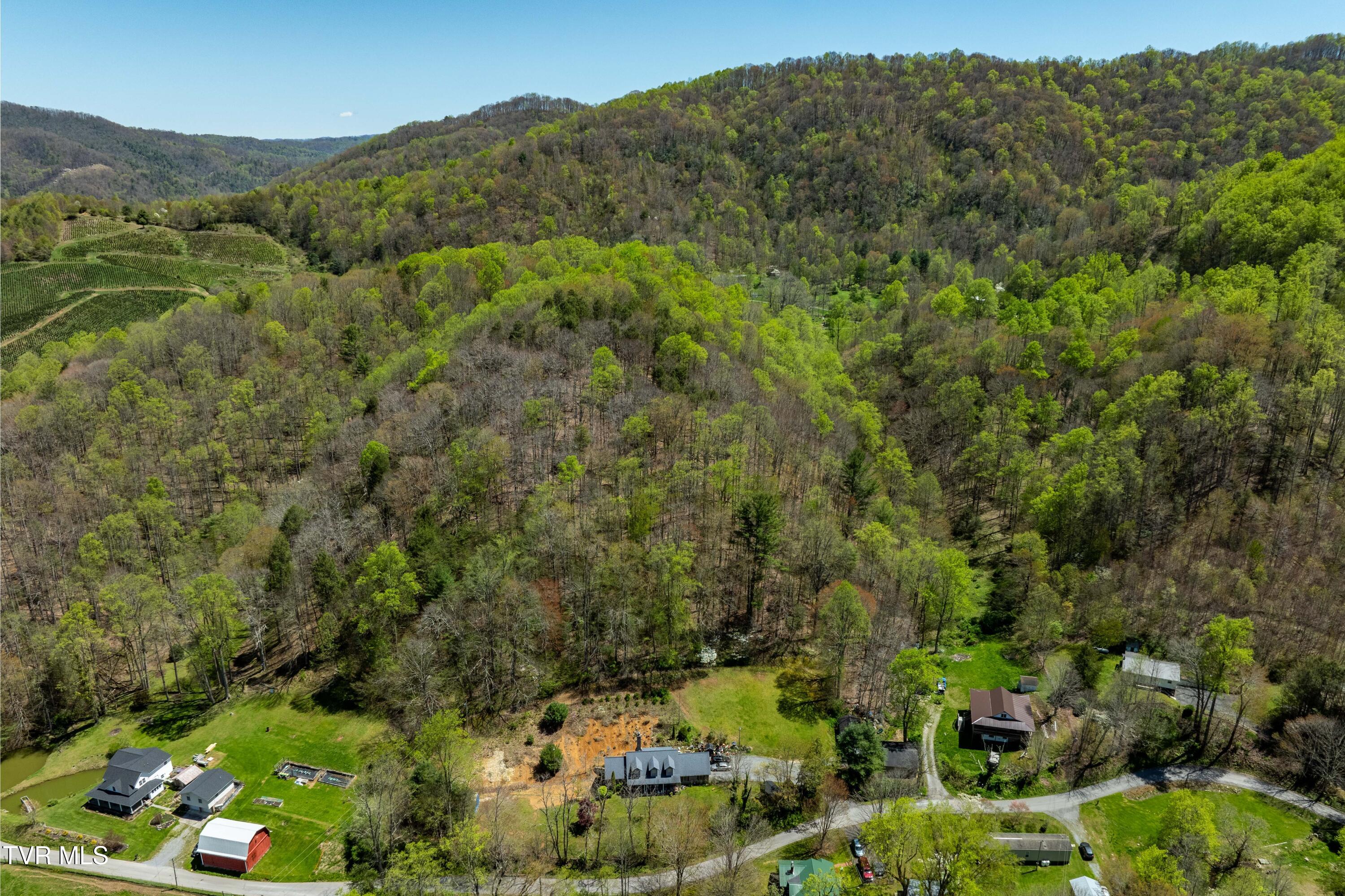 Tbd Hogum Hollow Road, Roan Mountain, Tennessee image 11