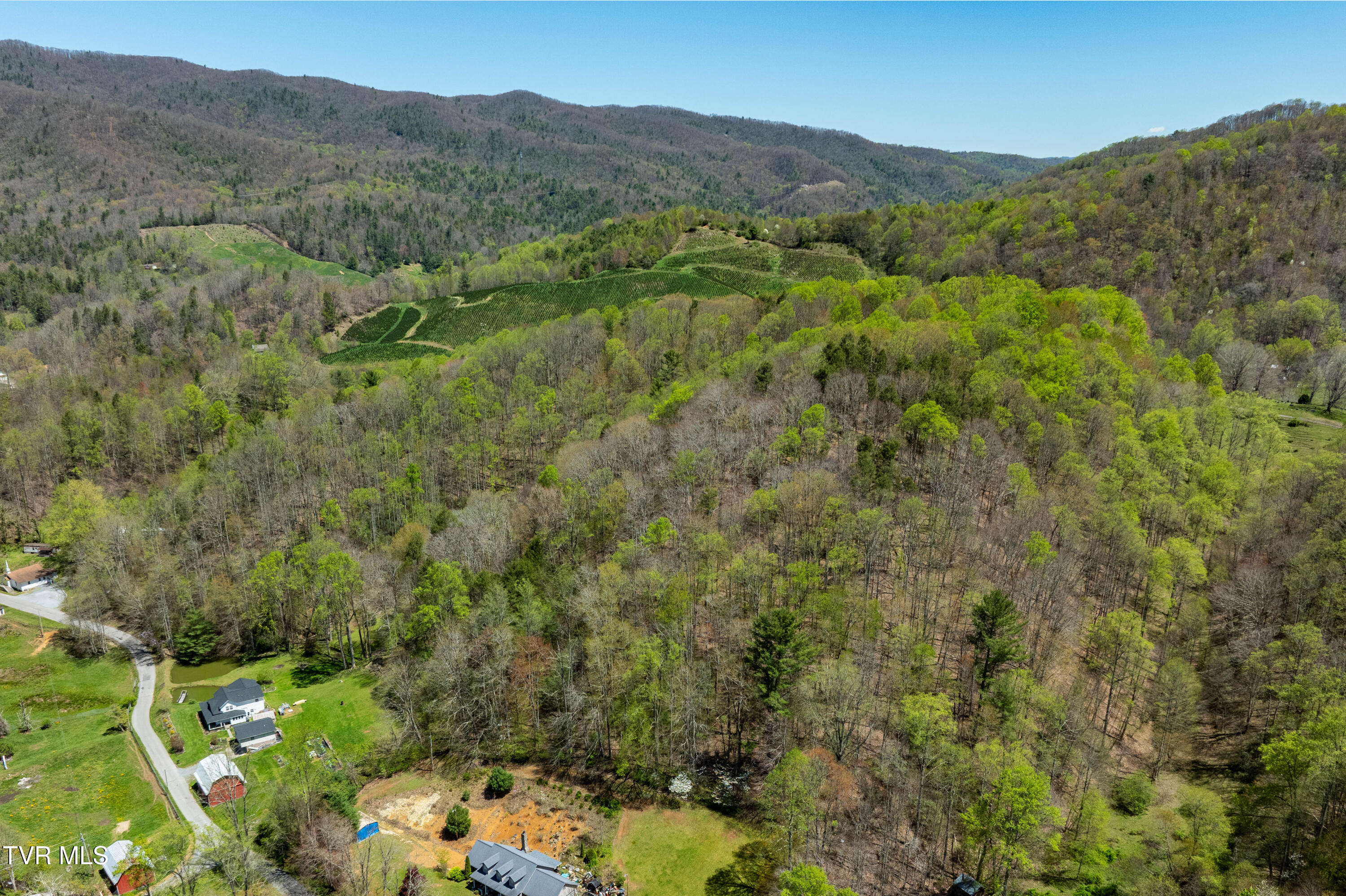 Tbd Hogum Hollow Road, Roan Mountain, Tennessee image 9