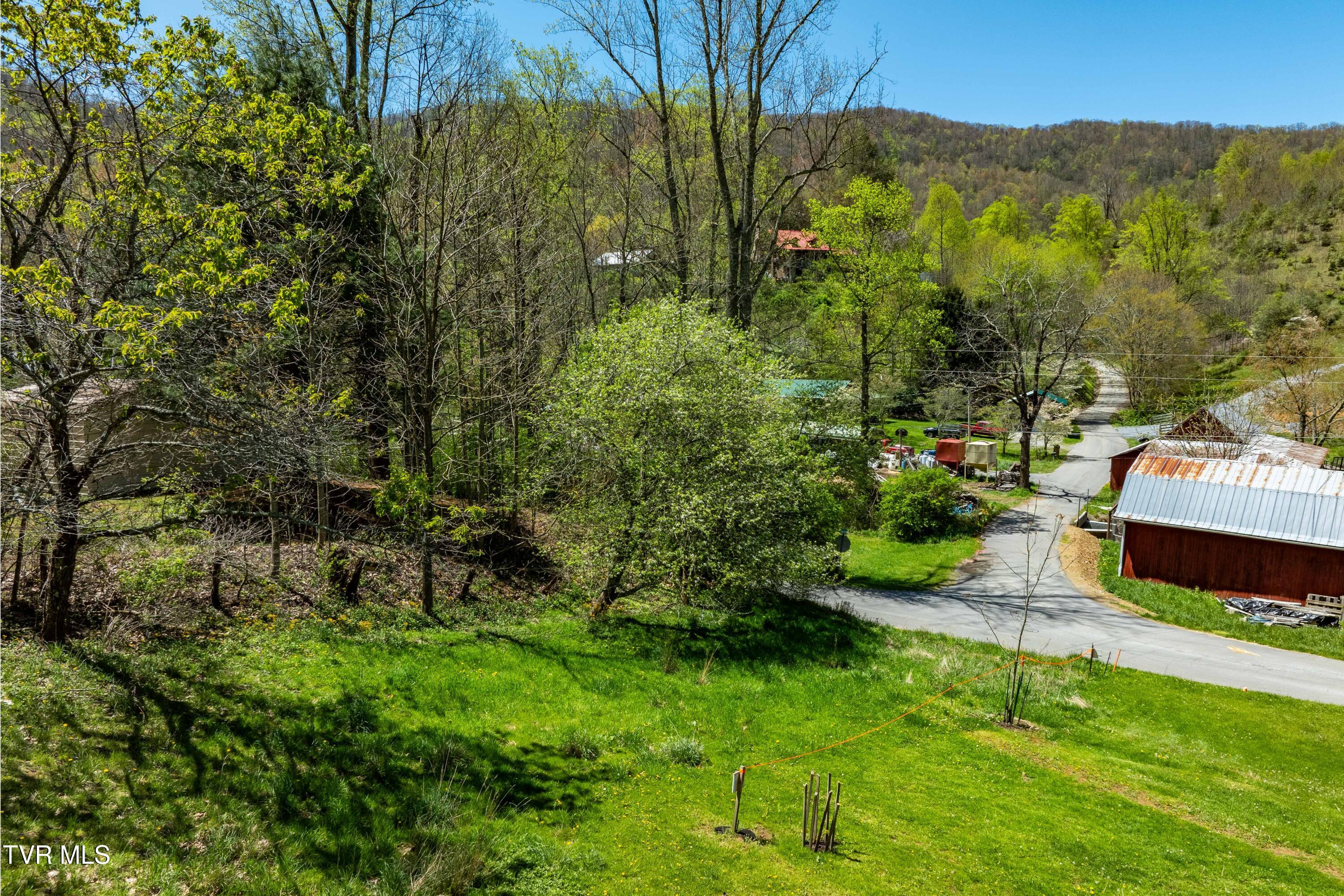 Tbd Hogum Hollow Road, Roan Mountain, Tennessee image 18