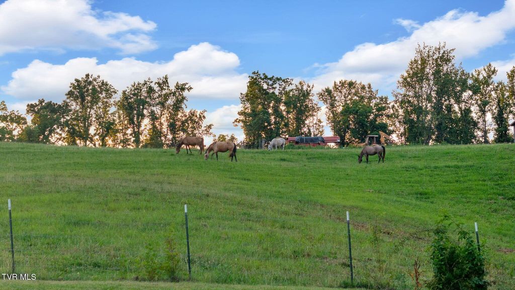 Photo of 431 Valley Drive, Kingsport, TN 37664 (MLS # 9986139)