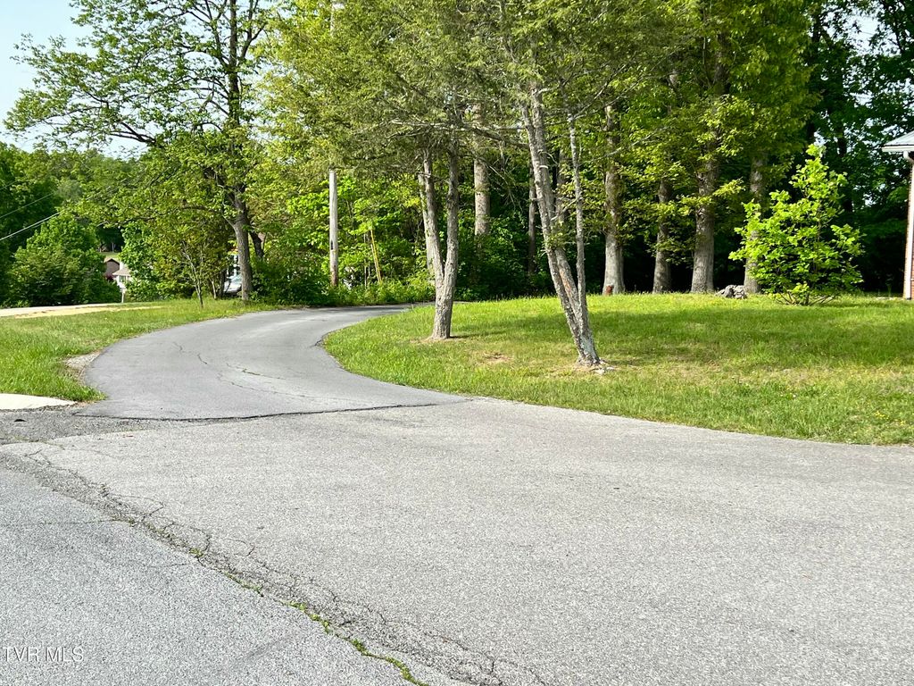 Photo of 150 Joe Hale Drive #-, Johnson City, TN 37615 (MLS # 9994588)