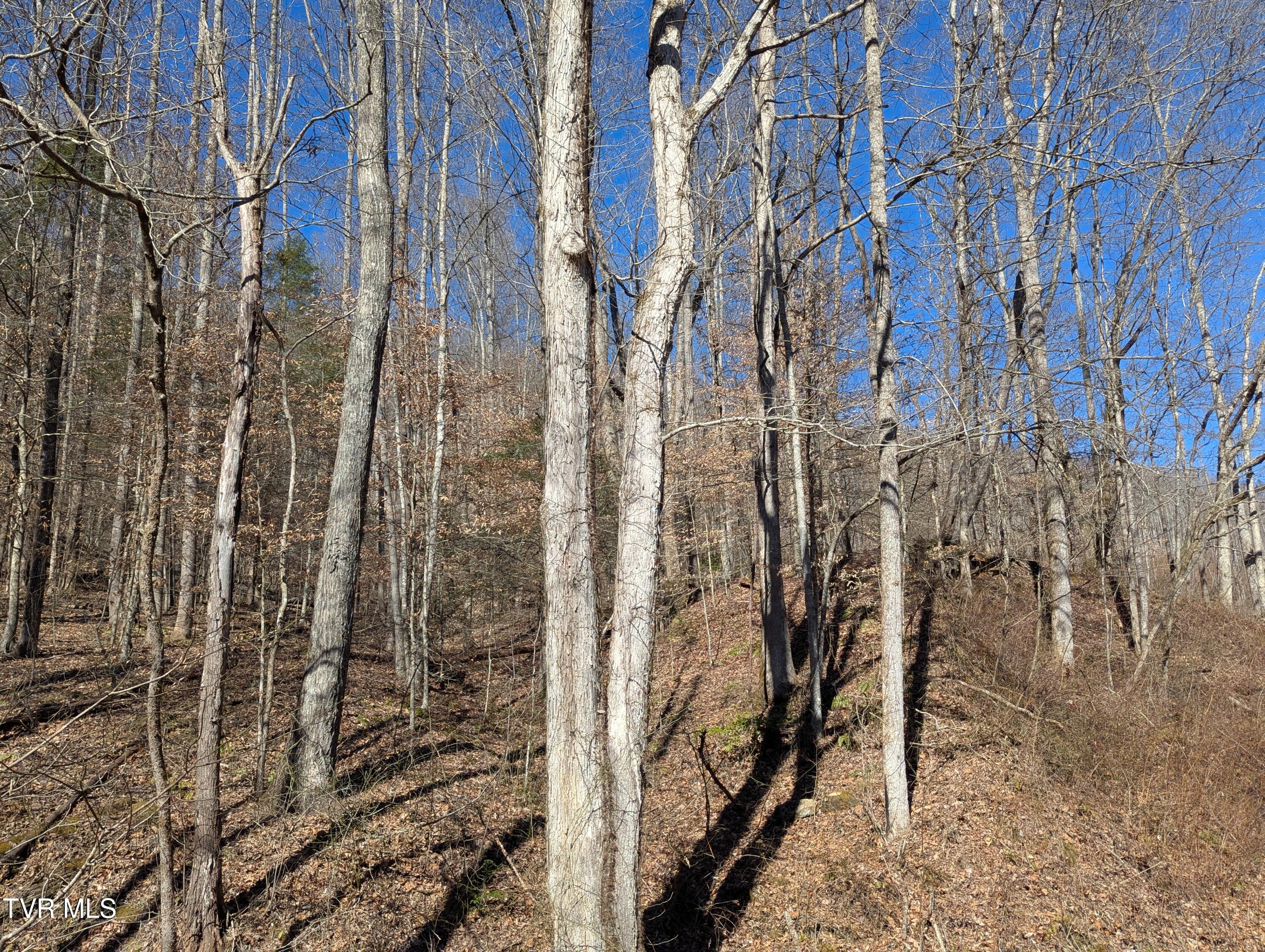 Tbd Mabe Stanleytown Road, Duffield, Virginia image 9