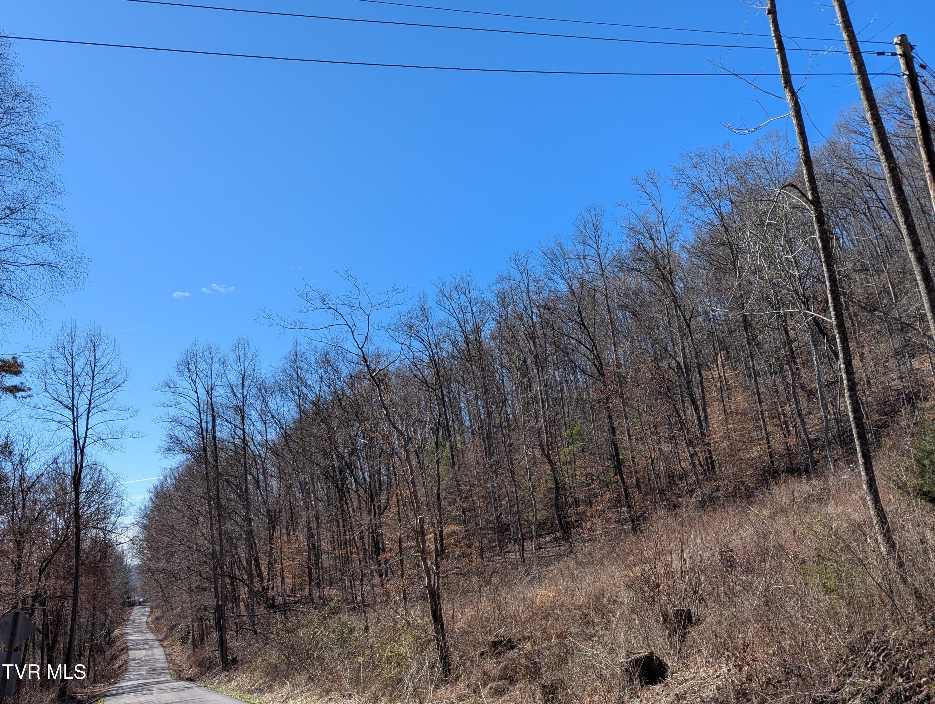 Tbd Mabe Stanleytown Road, Duffield, Virginia image 6