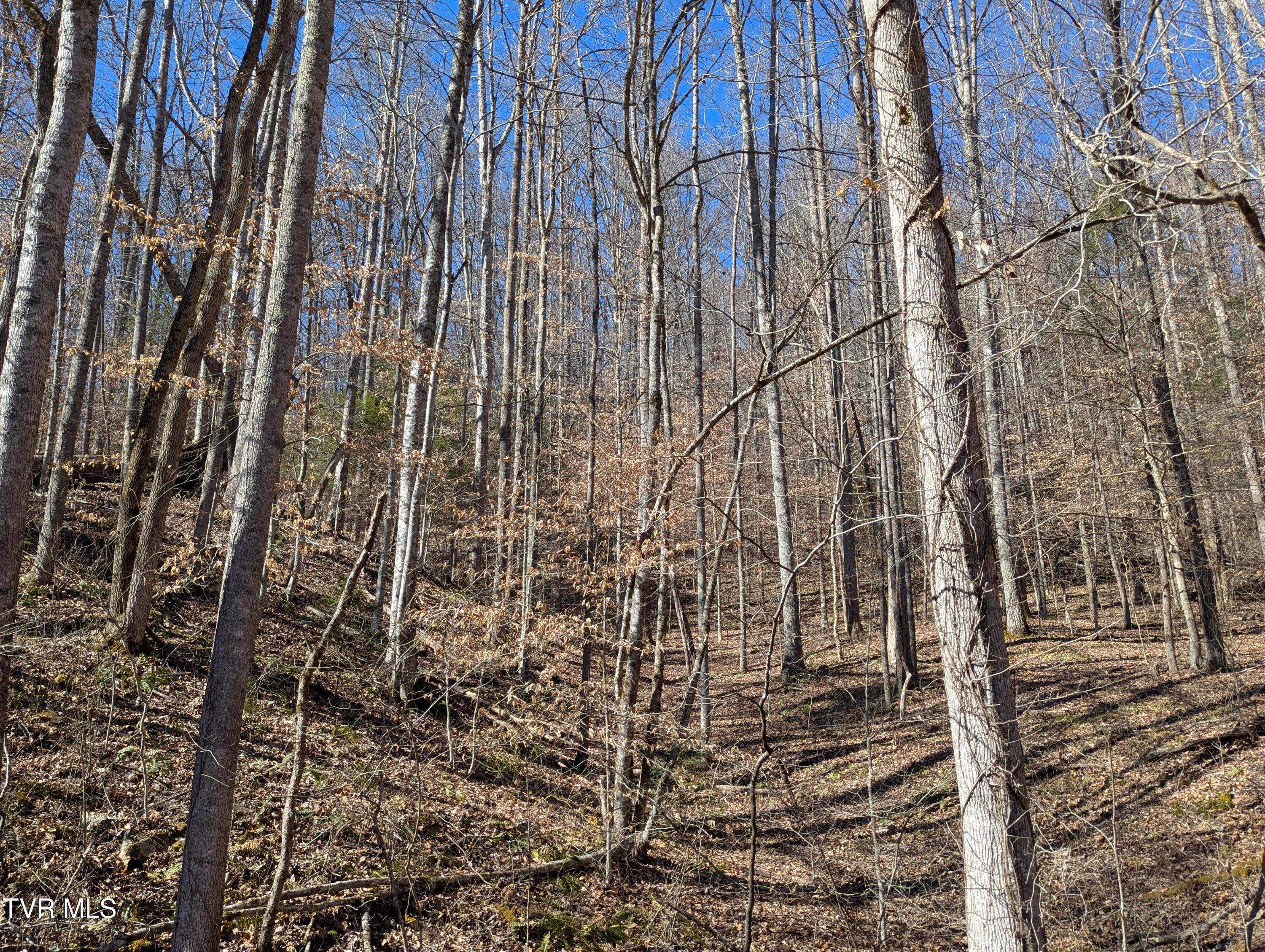 Tbd Mabe Stanleytown Road, Duffield, Virginia image 7