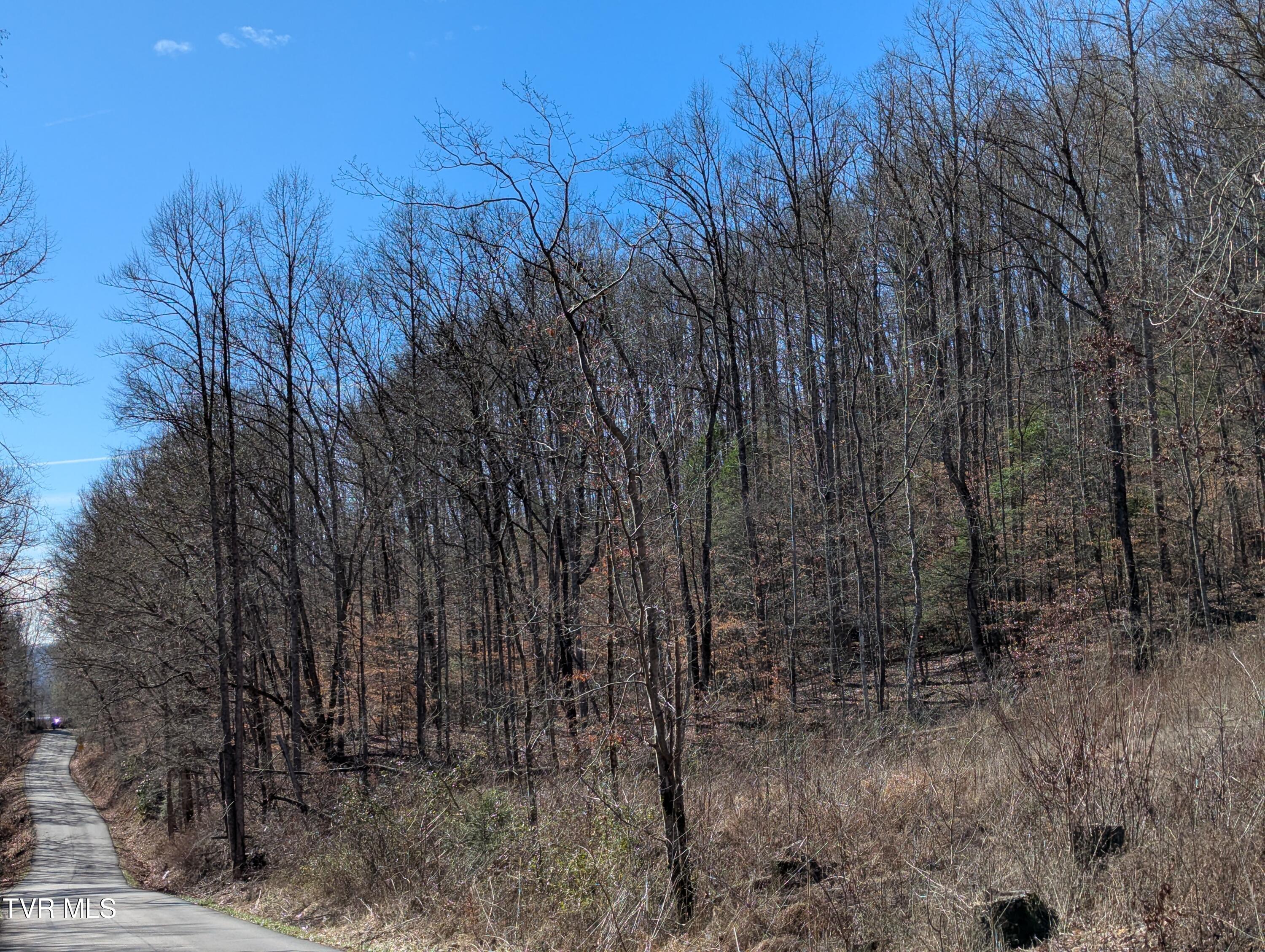 Tbd Mabe Stanleytown Road, Duffield, Virginia image 3