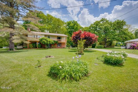 Photo of 824 Balsam Circle, Erwin, TN 37650 (MLS # 9994866)