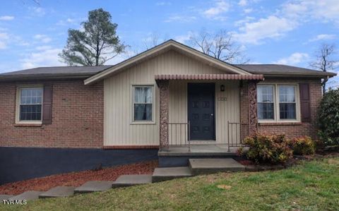 Photo of 361 Springfield Drive, Bristol, TN 37620 (MLS # 9992420)