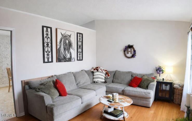 361 Springfield Drive