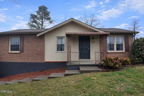 Photo of 361 Springfield Drive, Bristol, TN 37620 (MLS # 9992420)