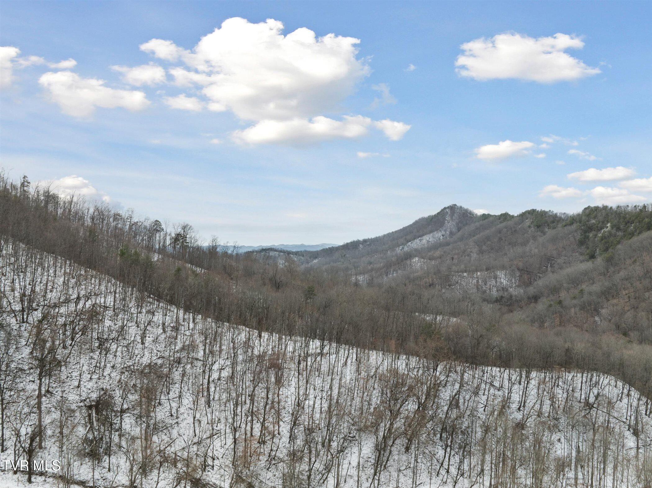 Tbd Mcmakin Road, Rogersville, Tennessee image 7