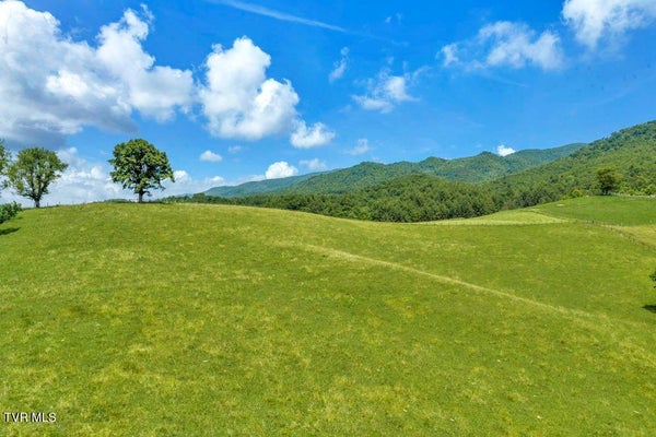 TBD LOCUST GAP ROAD, MOUNTAIN CITY, TN 37683 - Image 322822b966b6ea86a8ebfdfd8fc77fbb/118592805