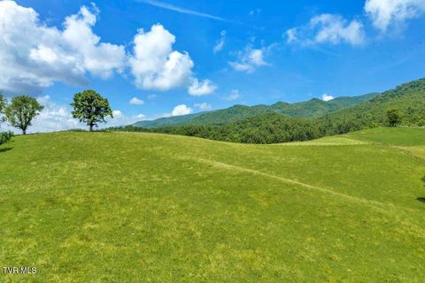 Vacant Land For Sale - TBD Locust Gap Road<br/> Mountain City, TN 37683