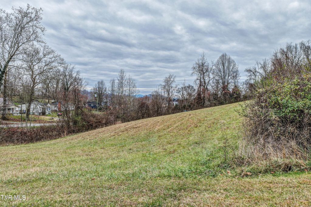 Photo of Tbd Wallace Pike Pike, Bristol, VA 24202 (MLS # 9989028)