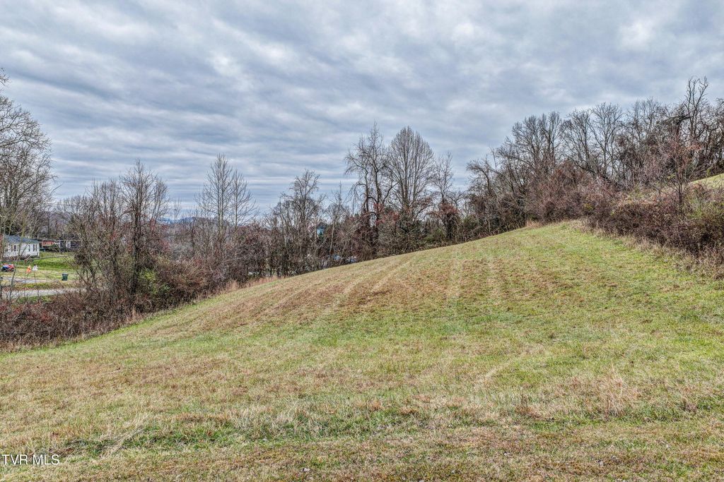 Photo of Tbd Wallace Pike Pike, Bristol, VA 24202 (MLS # 9989028)