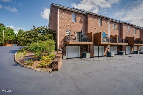Tiny photo for 601 West Mountain View Road #300, Johnson City, TN 37604 (MLS # 9986343)