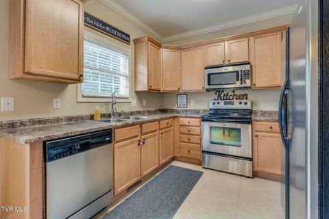 Tiny photo for 601 West Mountain View Road #300, Johnson City, TN 37604 (MLS # 9986343)