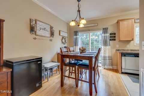 Tiny photo for 601 West Mountain View Road #300, Johnson City, TN 37604 (MLS # 9986343)