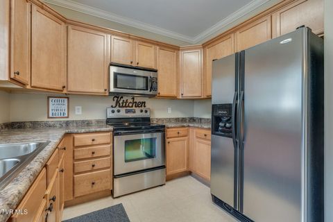 Tiny photo for 601 West Mountain View Road #300, Johnson City, TN 37604 (MLS # 9986343)