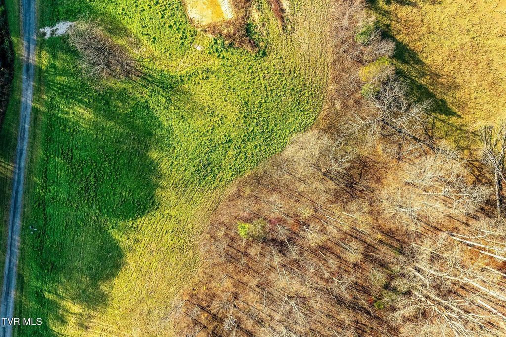 Photo of 18 Silver Oak Trail, Butler, TN 37640 (MLS # 9988380)