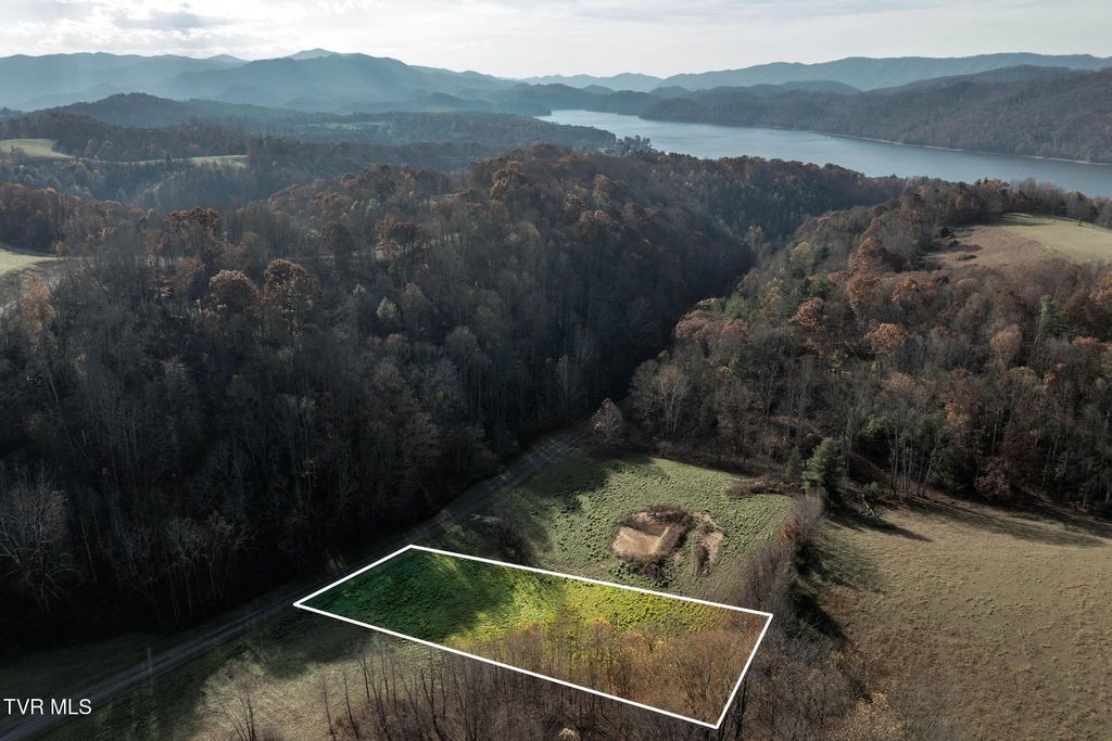 Photo of 18 Silver Oak Trail, Butler, TN 37640 (MLS # 9988380)