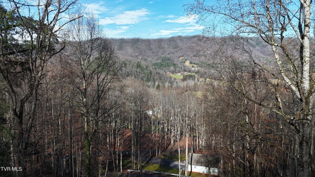 Photo of 591 Deer Haven Road, Unicoi, TN 37692 (MLS # 9988502)
