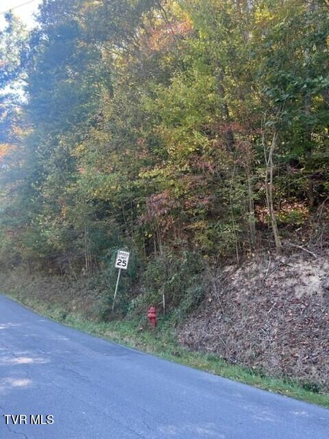 Vacant Land For Sale - Cave Springs/elytown Road<br/> Pennington Gap, VA 24277