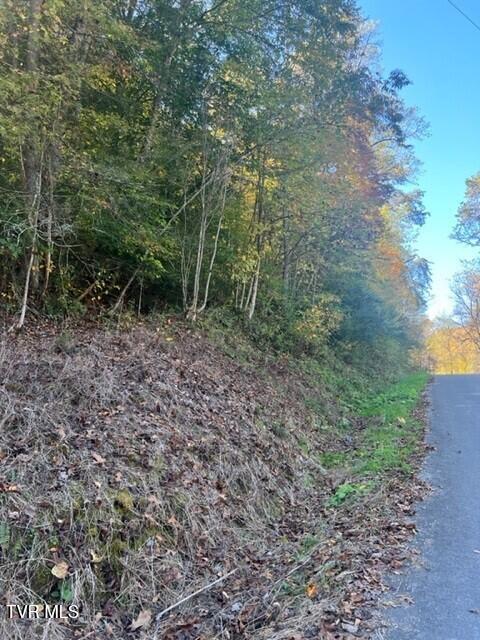 Photo of 0 Cave Springs/Elytown Road, Pennington Gap, VA 24277 (MLS # 10000707)