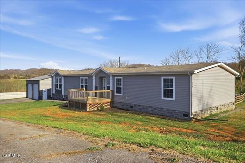 Photo of 170 Creek View Way, Rogersville, TN 37857 (MLS # 9993039)