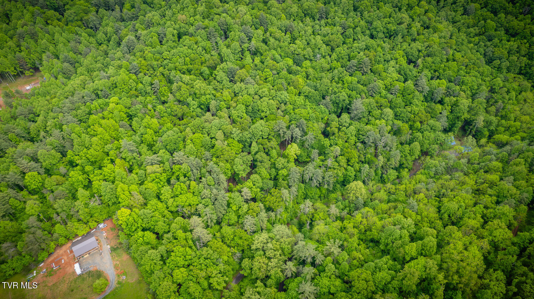Lot 9 Dugger Bridge Road, Butler, Tennessee image 14