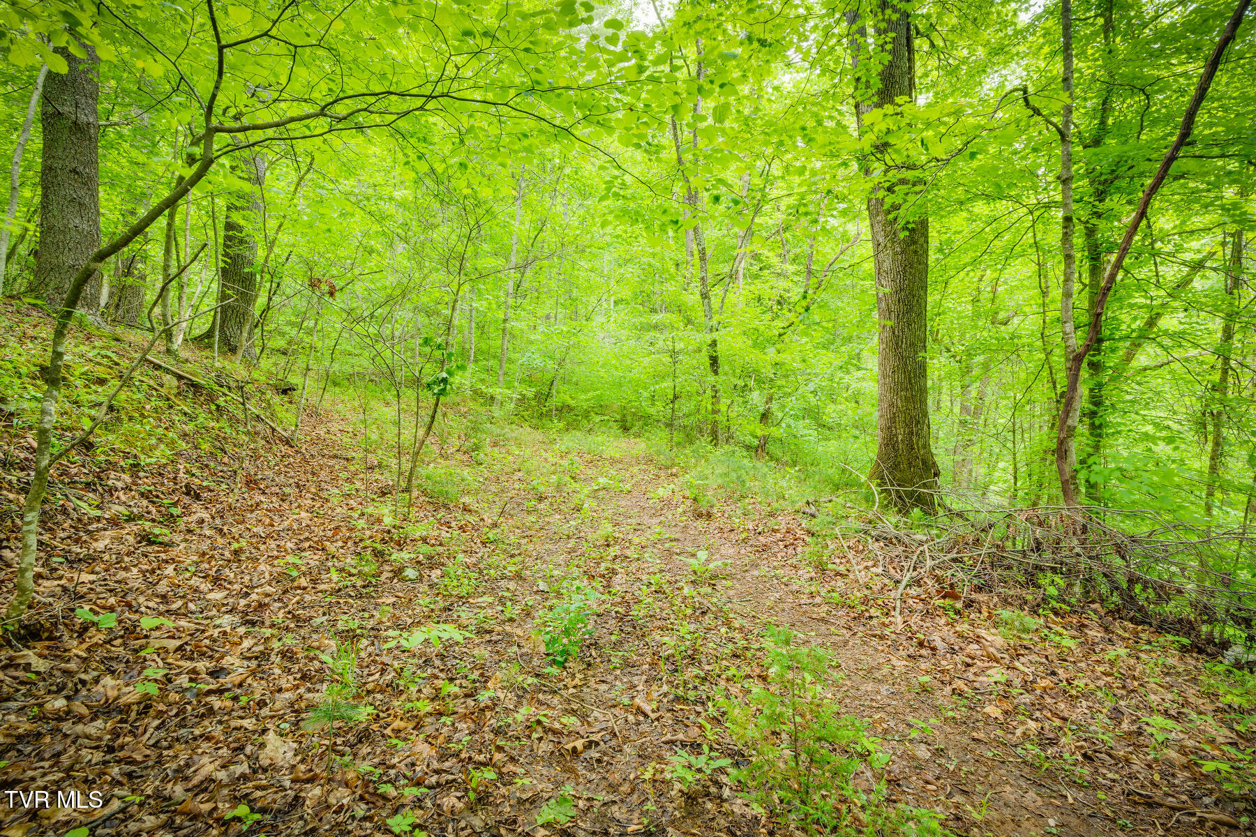 Lot 9 Dugger Bridge Road, Butler, Tennessee image 4