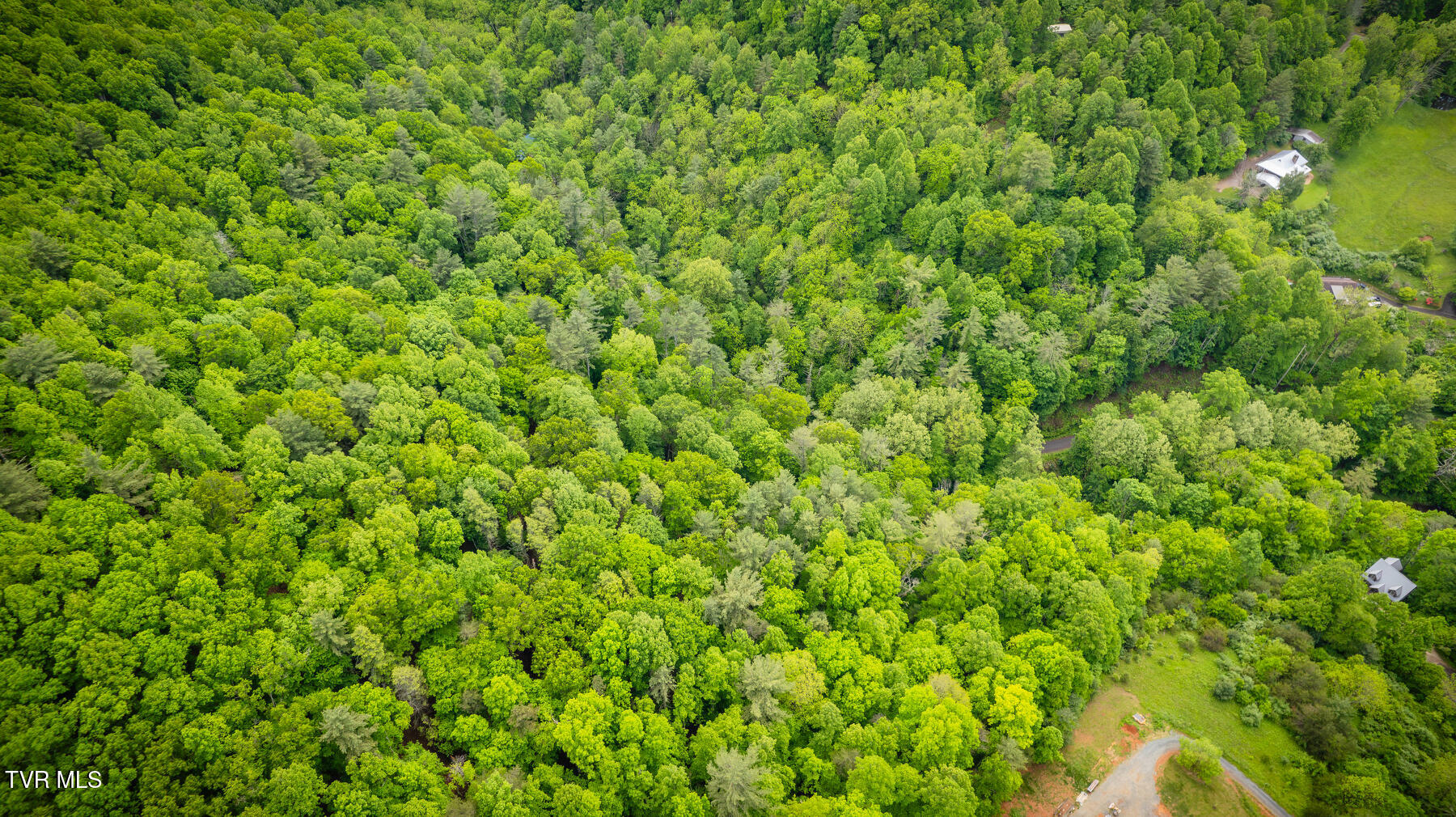 Lot 9 Dugger Bridge Road, Butler, Tennessee image 18