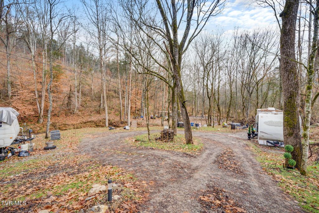 Photo of 2309 Shaver Ford Road, Jonesville, VA 24263 (MLS # 9988574)