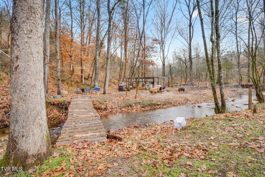 Photo of 2309 Shaver Ford Road, Jonesville, VA 24263 (MLS # 9988574)