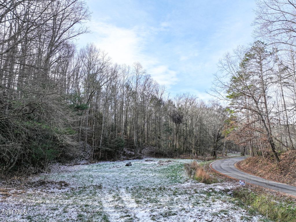 Photo of 875 Frank Roberts Road, Afton, TN 37616 (MLS # 9989286)