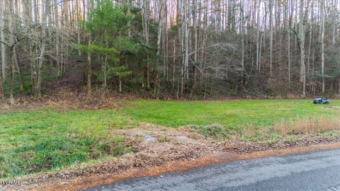Vacant Land For Sale - 875 Frank Roberts Road<br/> Afton, TN 37616