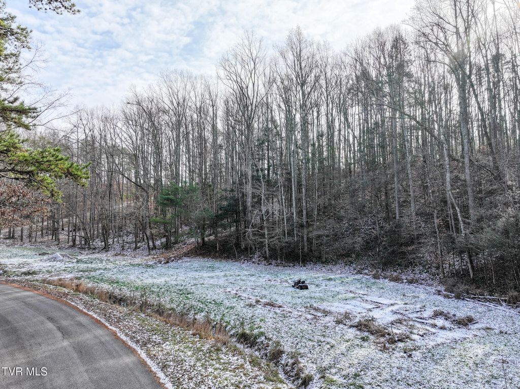 Photo of 875 Frank Roberts Road, Afton, TN 37616 (MLS # 9989286)
