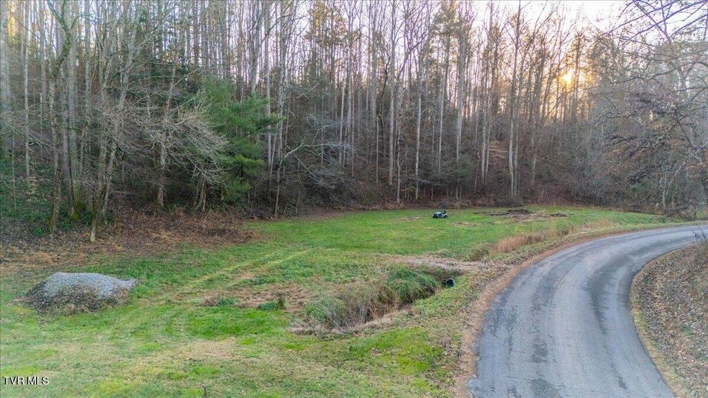 Photo of 875 Frank Roberts Road, Afton, TN 37616 (MLS # 9989286)