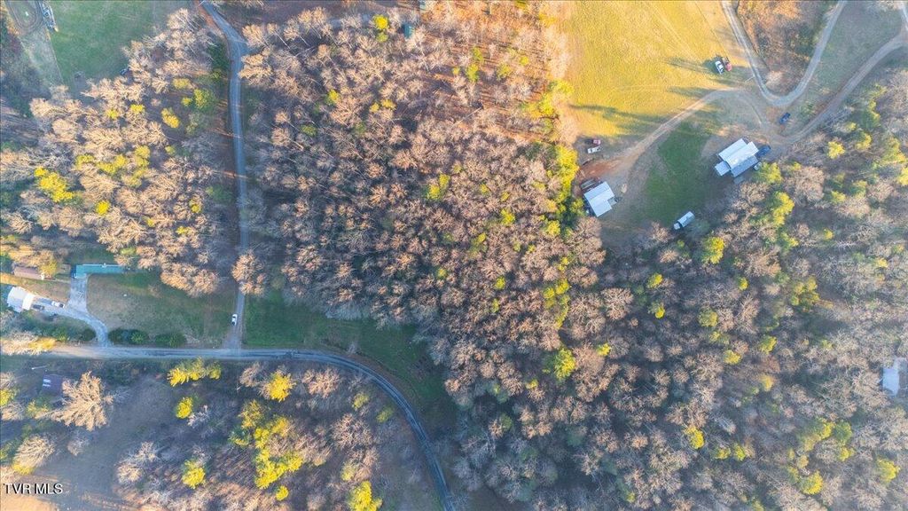 Photo of 875 Frank Roberts Road, Afton, TN 37616 (MLS # 9989286)