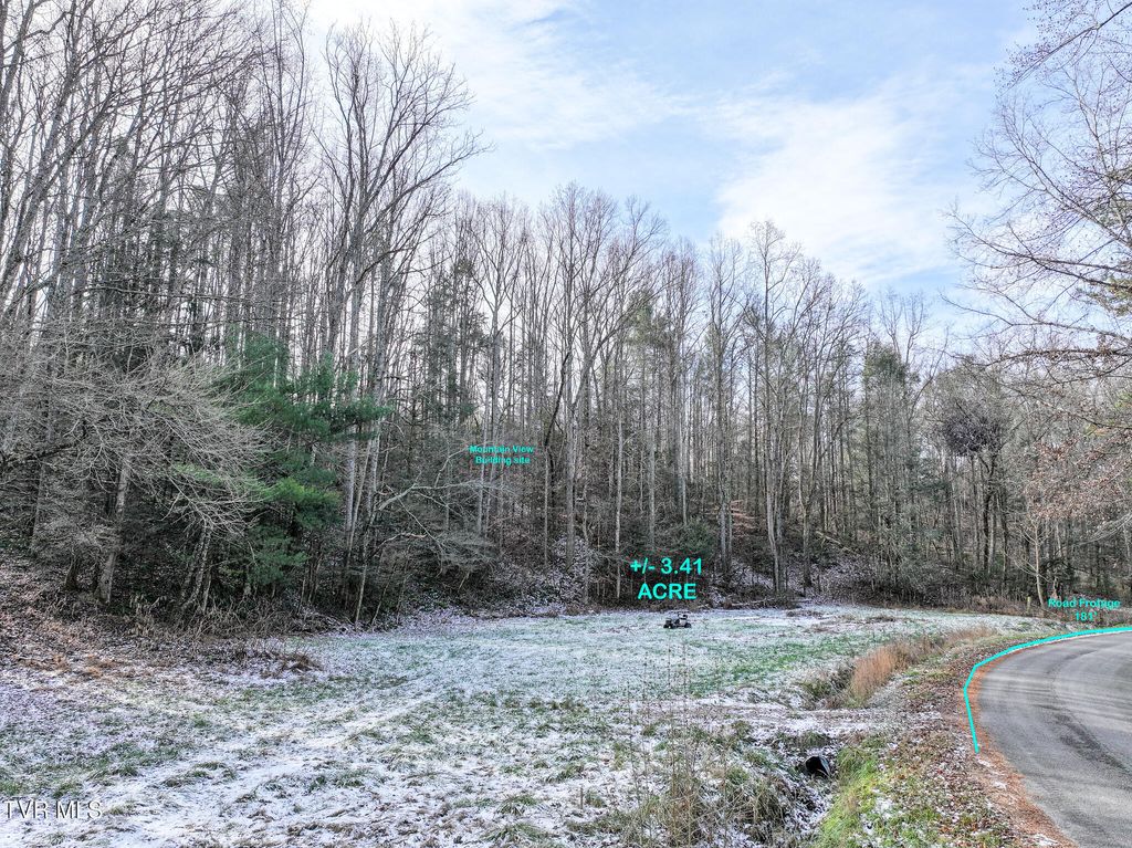 Photo of 875 Frank Roberts Road, Afton, TN 37616 (MLS # 9989286)