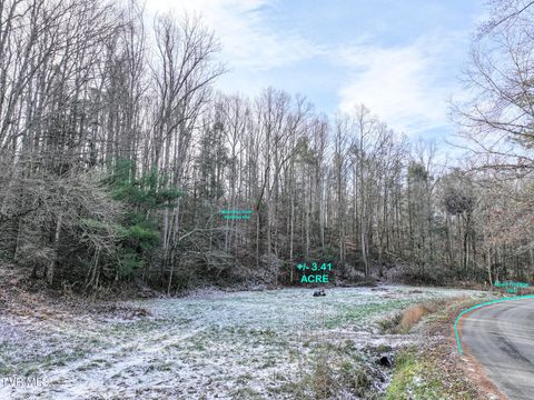 Vacant Land For Sale - 875 Frank Roberts Road<br/> Afton, TN 37616