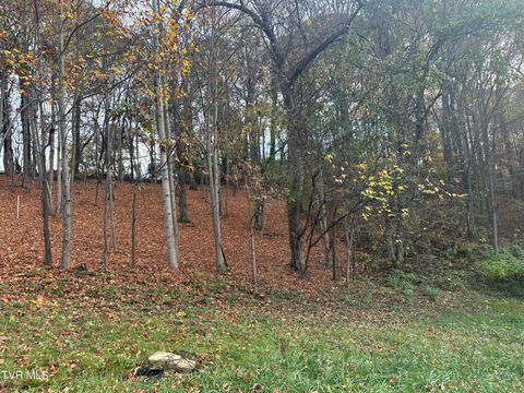 Photo of 126 Maple Crest, Greeneville, TN 37743 (MLS # 9973360)