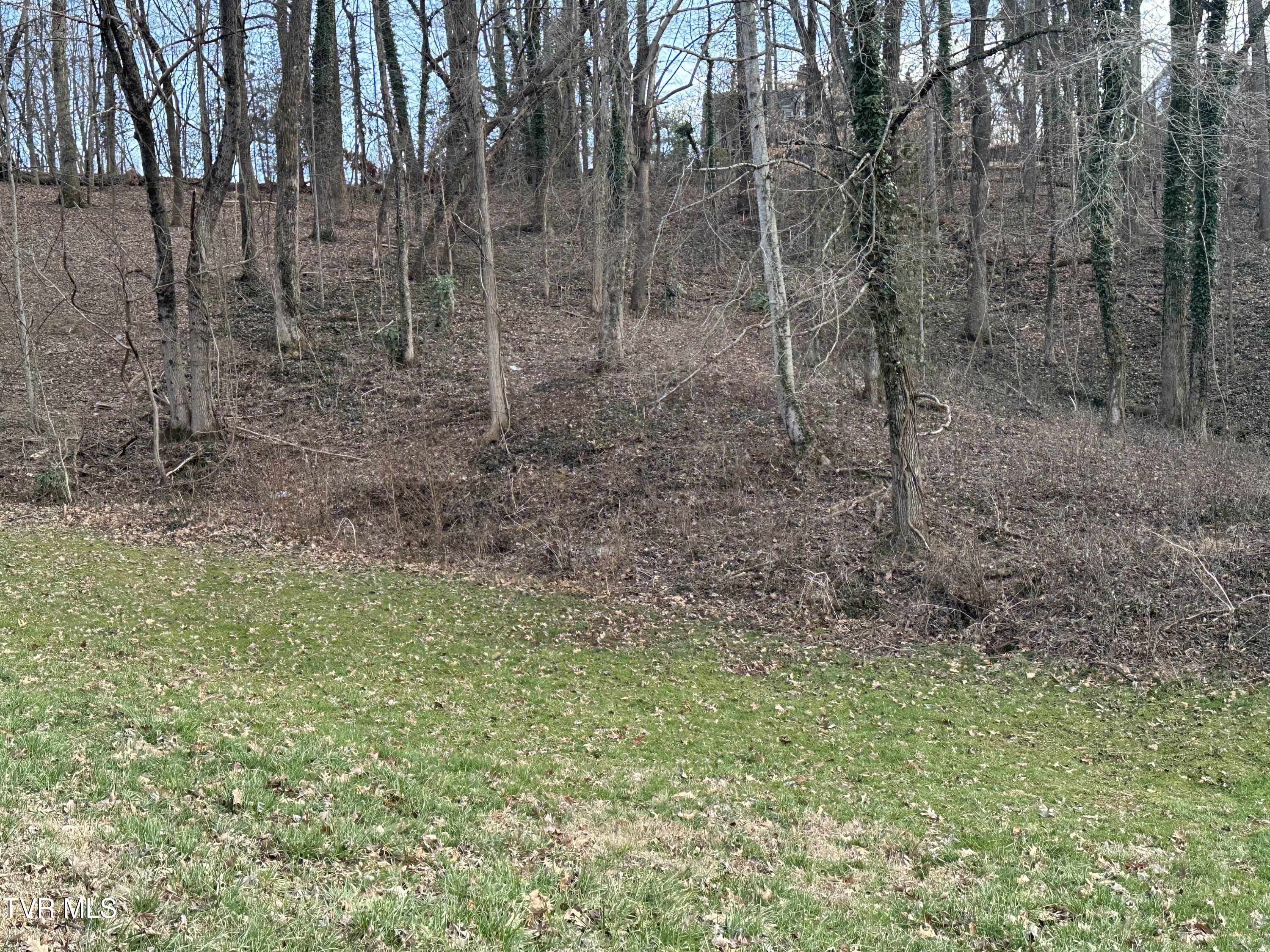 126 Maple Crest, Greeneville, Tennessee image 7