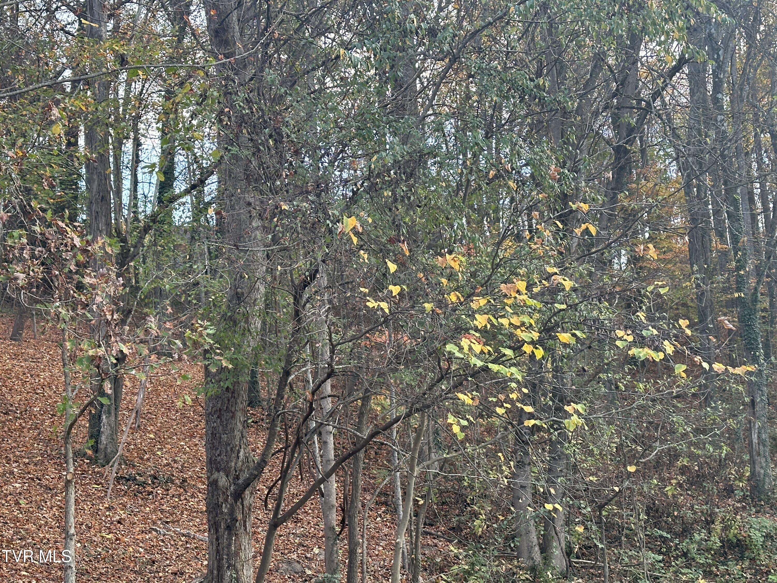 126 Maple Crest, Greeneville, Tennessee image 4