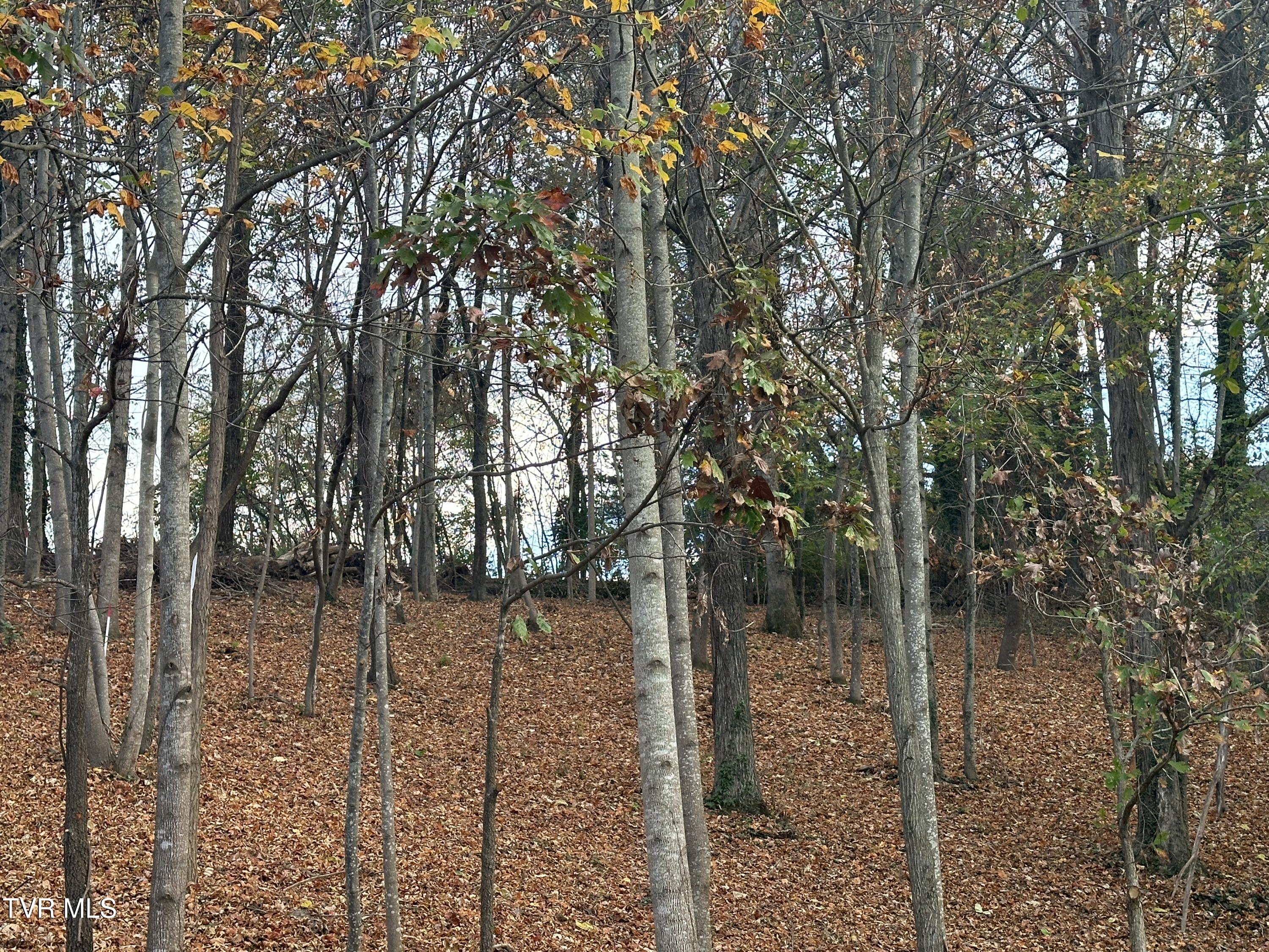 126 Maple Crest, Greeneville, Tennessee image 5