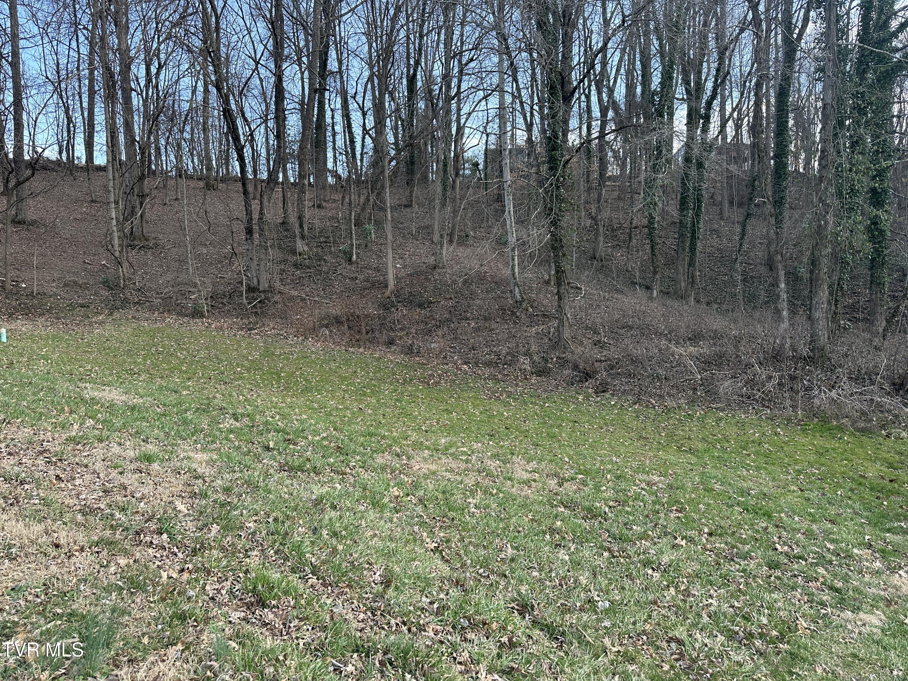 126 Maple Crest, Greeneville, Tennessee image 2