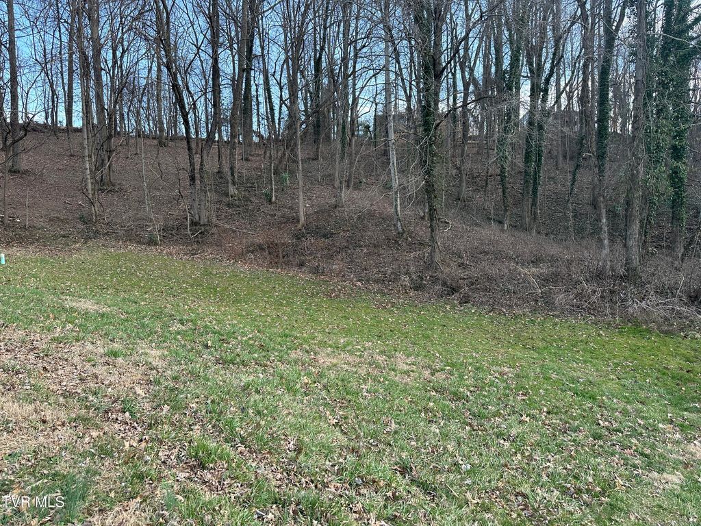 Photo of 126 Maple Crest, Greeneville, TN 37743 (MLS # 9973360)