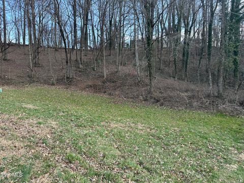 Photo of 126 Maple Crest, Greeneville, TN 37743 (MLS # 9973360)