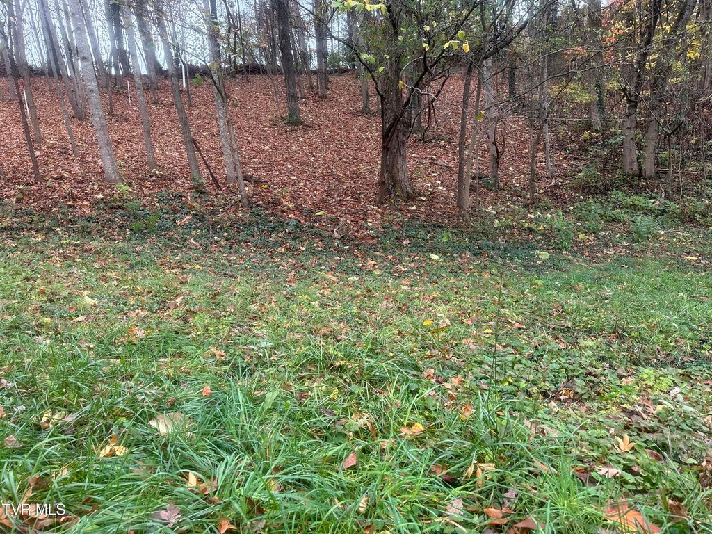 Photo of 126 Maple Crest, Greeneville, TN 37743 (MLS # 9973360)