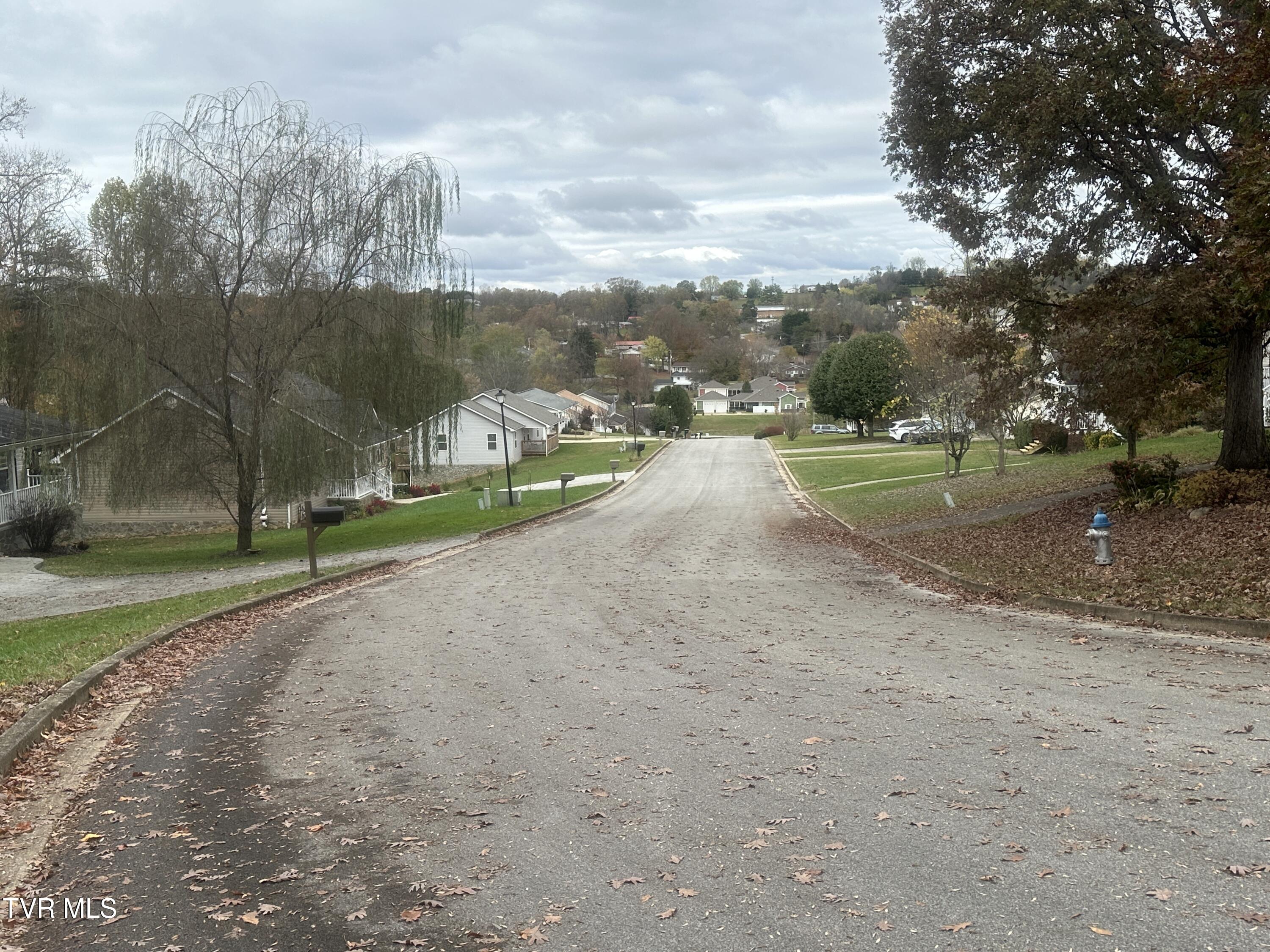 126 Maple Crest, Greeneville, Tennessee image 6
