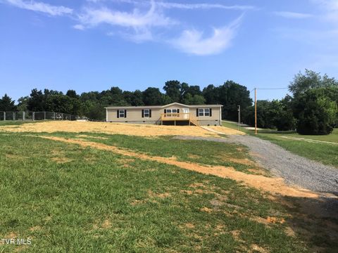 Tiny photo for 2794 Newport Highway, Greeneville, TN 37743 (MLS # 9982910)